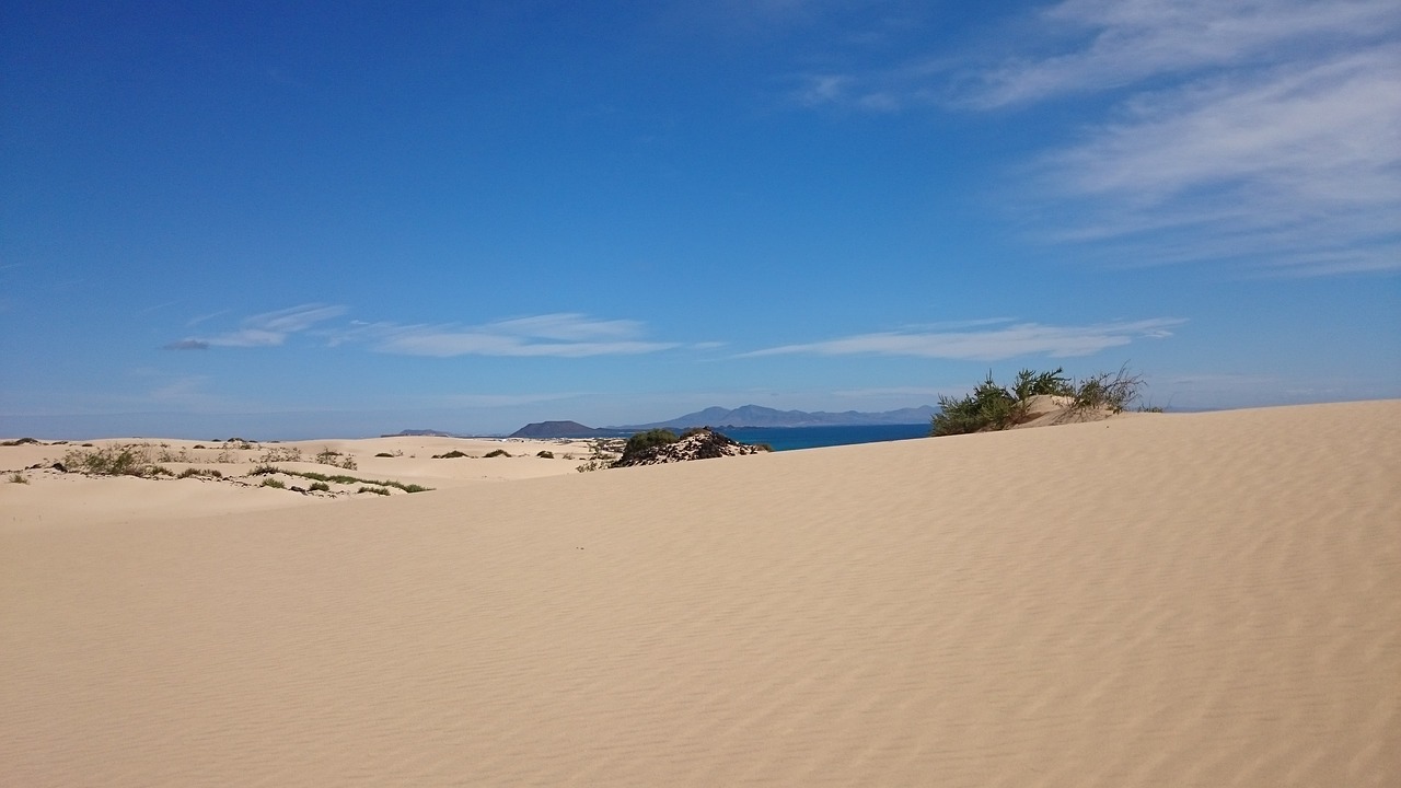 Fuerteventura Dunes