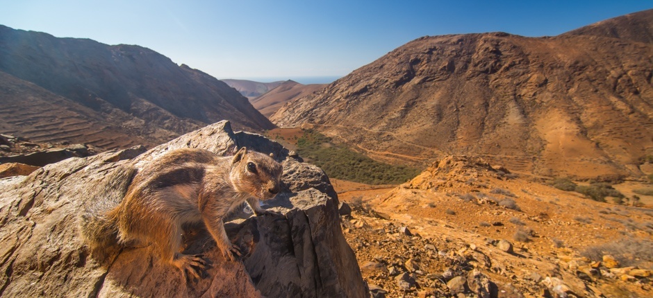 Mirador Las Peñitas a Presa de Las Peñitas